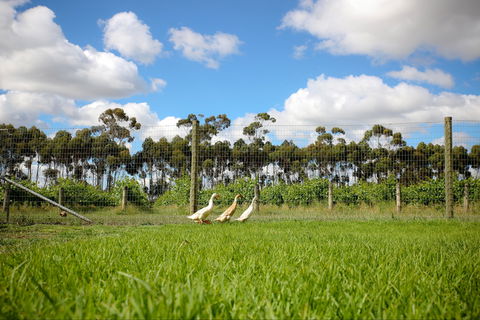 Pierrepoint Wines Cellar Door - Holiday Find 1