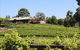 Djinta Djinta Winery - thumb 0
