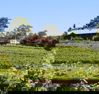 djinta djinta Winery - Holiday Find