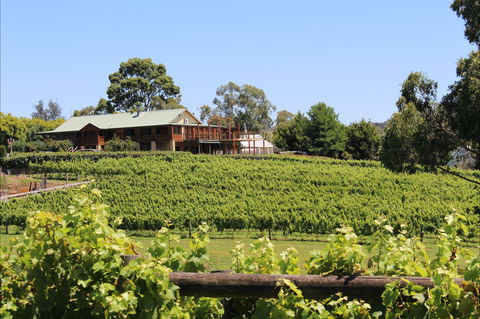 Djinta Djinta Winery - Holiday Find 0