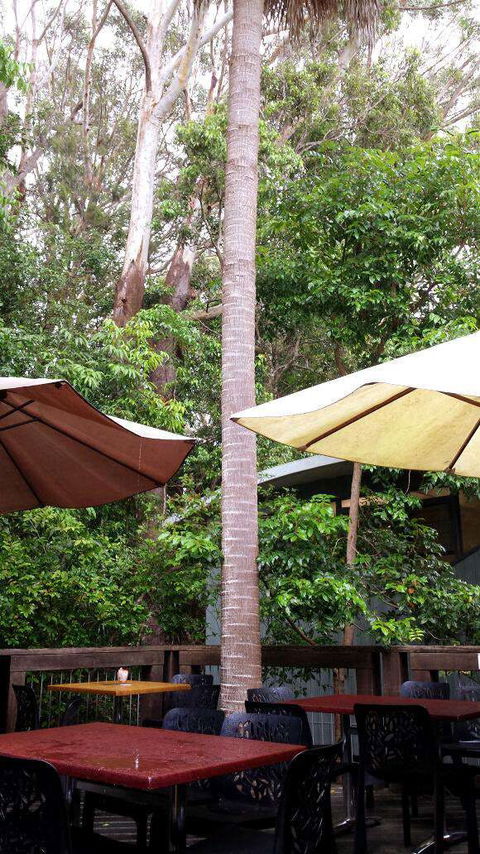 Rainforest Cafe - Holiday Find 0