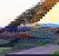 Rowlee Wines - Holiday Find