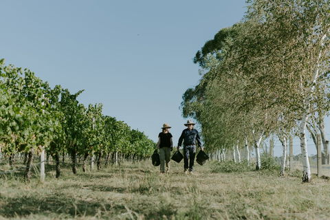 Rowlee Wines - Holiday Find 1