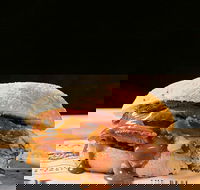 Sandwich Chefs - Holiday Find