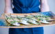 SARDINE Eatery + Bar - thumb 0