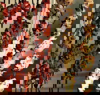 The Spice Yard - Holiday Find