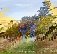 WayWood Wines