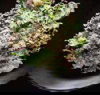 Arthur Waterhouse Lounge - Holiday Find