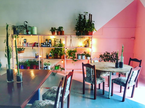 Howdy Coffee - Holiday Find 0