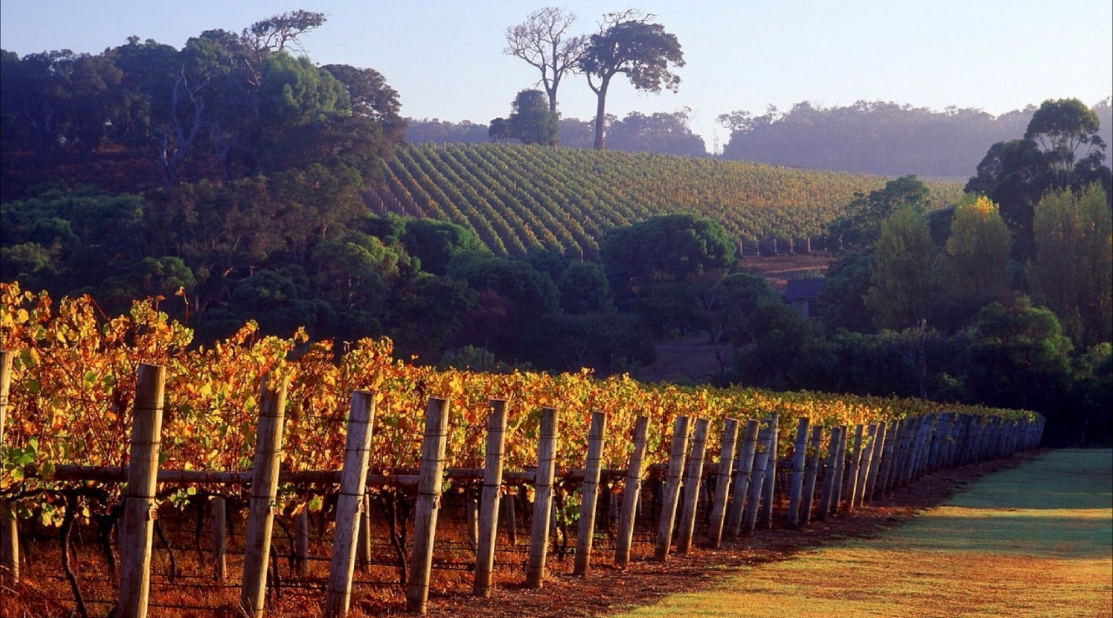 Wonnerup WA Holiday Find