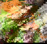 Nara Japanese Seafood Restaurant - Holiday Find