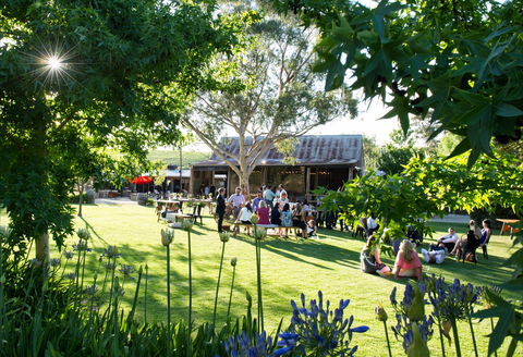 Barristers Block Premium Wines - Holiday Find 0