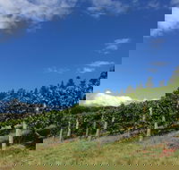 Freycinet Vineyard - Holiday Find