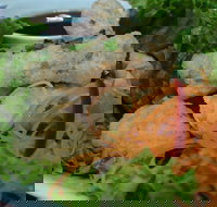 Green Bamboo - Holiday Find