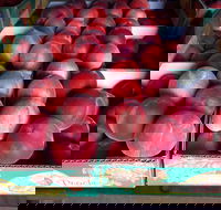 Martins Orchard - Holiday Find