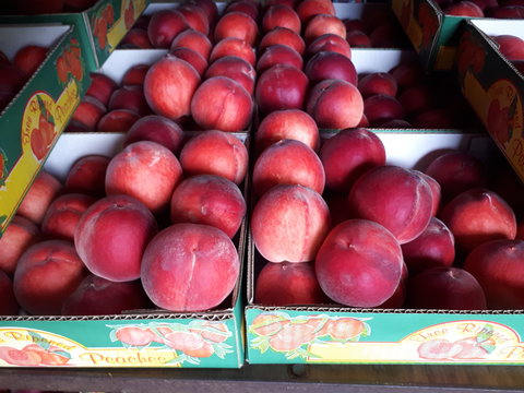 Martins Orchard - Holiday Find 0