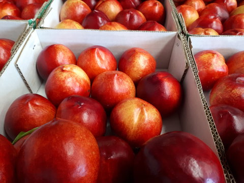 Martins Orchard - Holiday Find 1