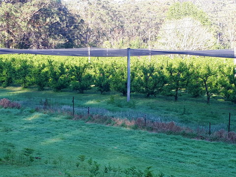 Martins Orchard - Holiday Find 2