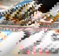 Terrigal Ice Creamery - Holiday Find