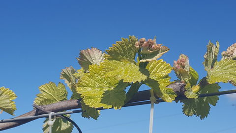 Highland Heritage Cellar Door - Holiday Find 2