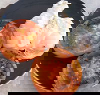 The Deck Poolside Bar  Restaurant - Holiday Find