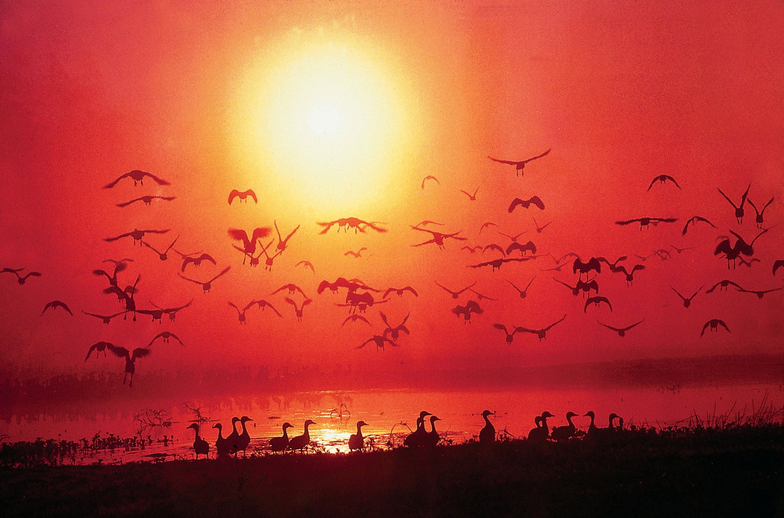 Darwin NT Holiday Find