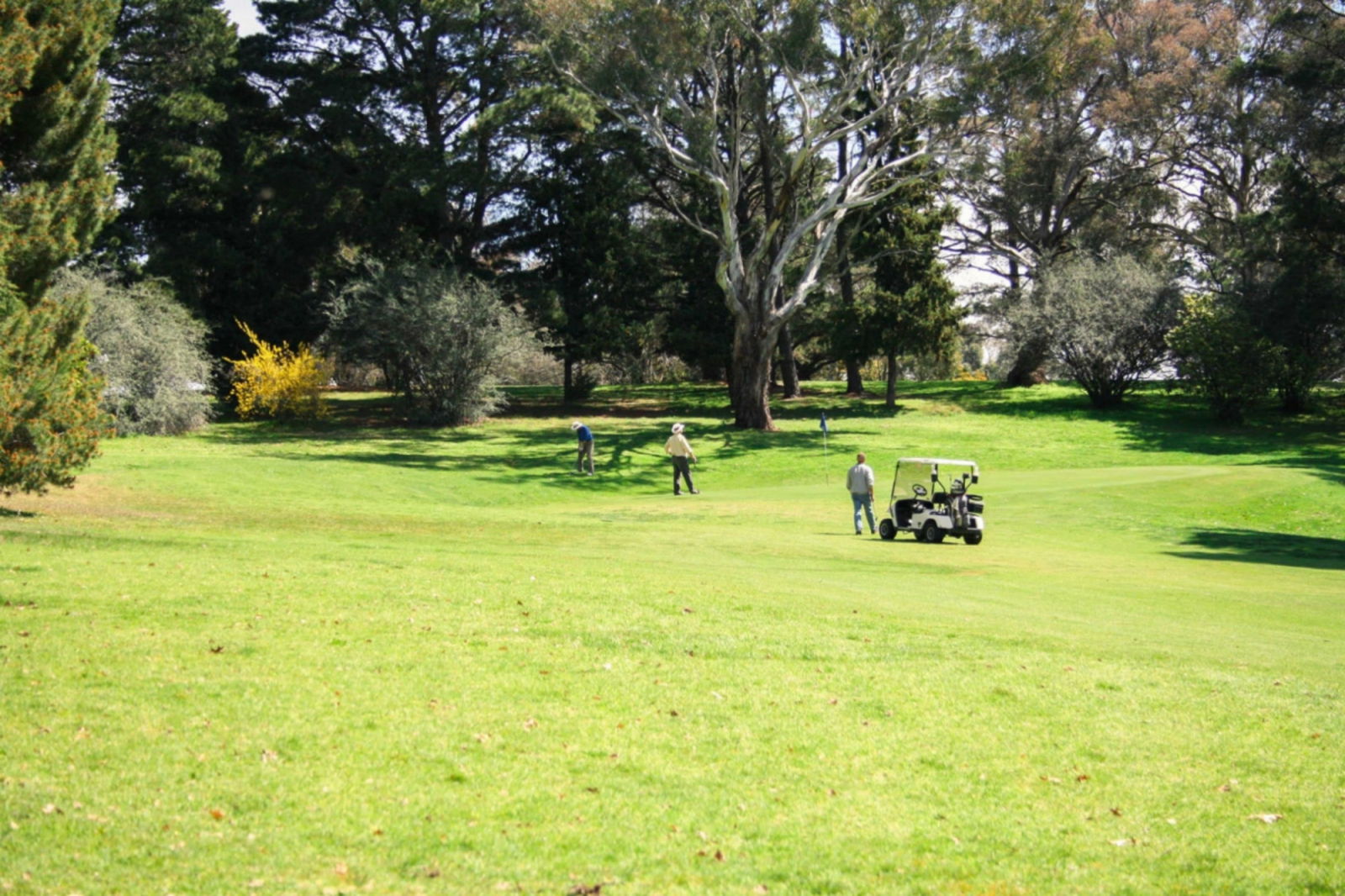 Woolgarlo ACT Holiday Find