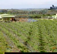 Dindima Wines - Holiday Find