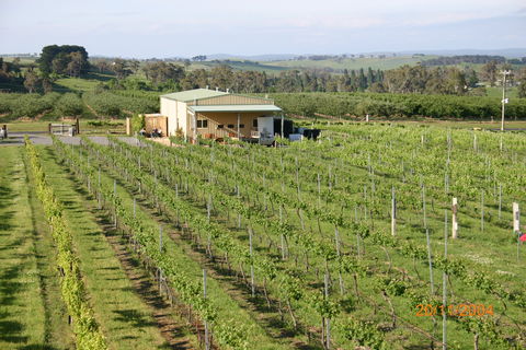 Dindima Wines - Holiday Find 0