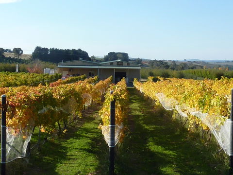 Dindima Wines - Holiday Find 2