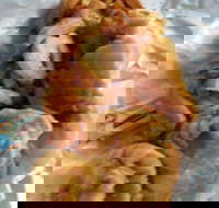 The Fish Inn - Holiday Find