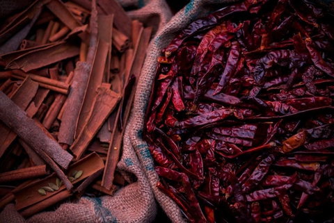 Urban Tadka - Holiday Find 0