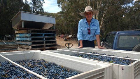 Guneemooroo Estate - Holiday Find 1