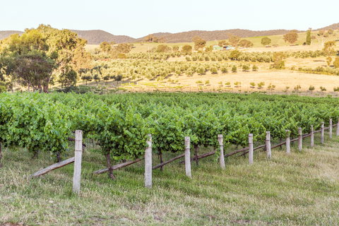 Guneemooroo Estate - Holiday Find 2