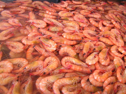 Grunske's By The River Seafood Market And Restaurant - Holiday Find 0