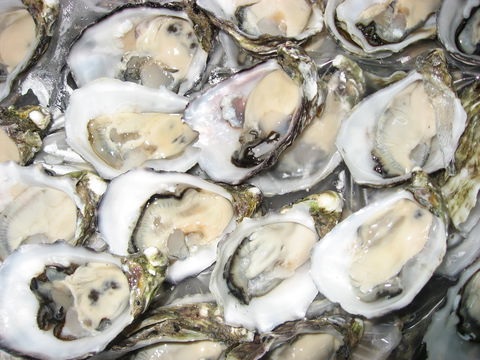 Grunske's By The River Seafood Market And Restaurant - Holiday Find 1
