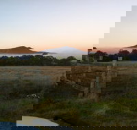 Mountainside Wines - Holiday Find