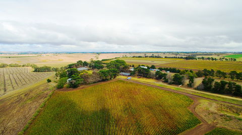 Pettavel Wines - Holiday Find 0