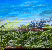 Rowsley Fault Vineyards - Holiday Find