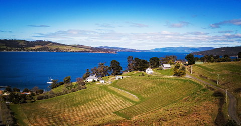 Anim Wine - Holiday Find 0