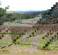 Habitat Vineyard - Holiday Find