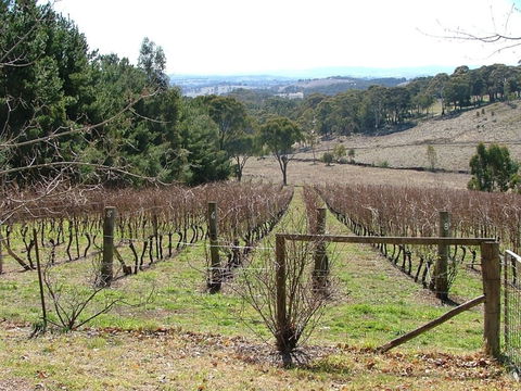 Habitat Vineyard - Holiday Find 0