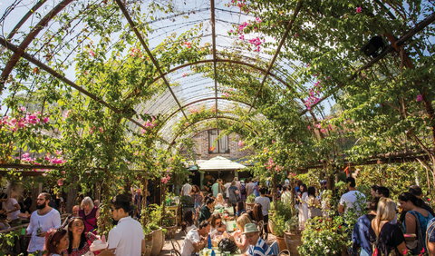 The Grounds Of Alexandria - Holiday Find 2