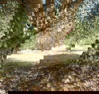 Lentara Grove - Holiday Find