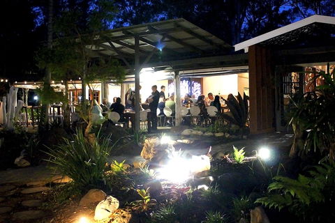 Rainforest Restaurant And Lounge Bar - Holiday Find 2