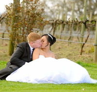 Lunch Craft - Holiday Find