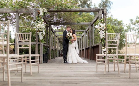 Vines Restaurant At Hollydene Estate - Holiday Find 13