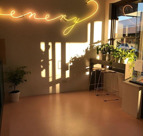 Venery - Holiday Find 10