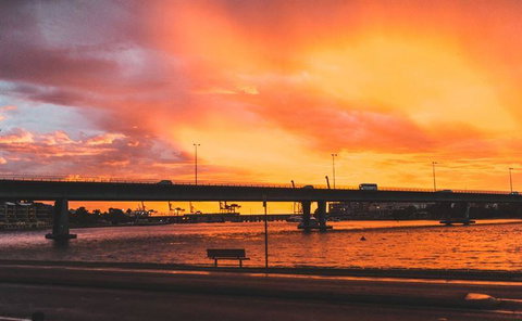 Venery - Holiday Find 16