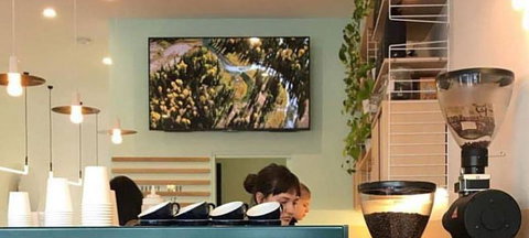 Venery - Holiday Find 3